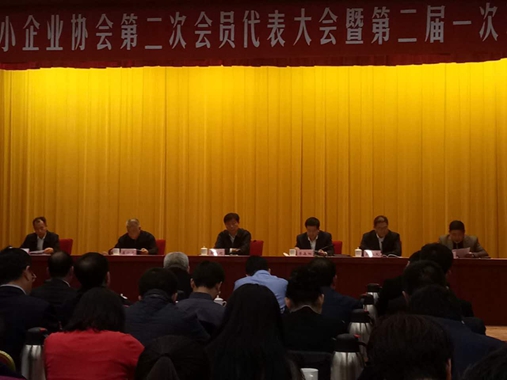 李树起副市长出席天津市中小企业协会第二次会员代表大会