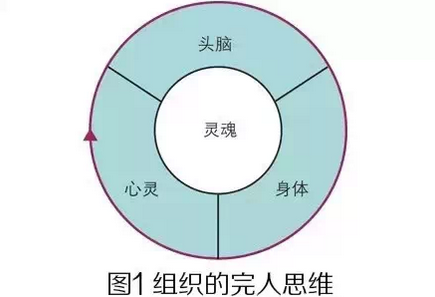 华为卓越绩效企业的管理逻辑