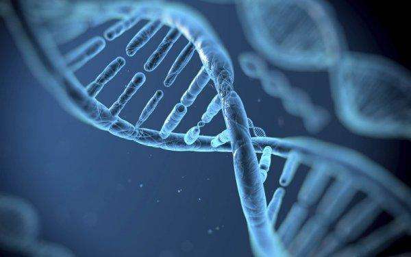 全球首例人体内基因编辑试验实施