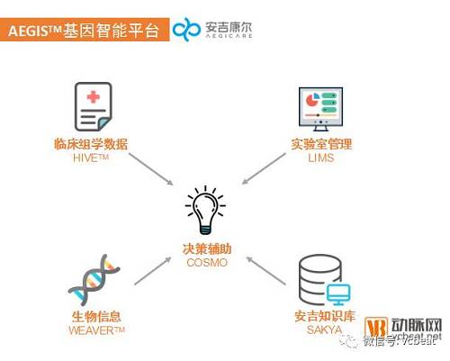 安吉康尔天使轮融资1500万，要用“AI+基因大数据”基因智能助力遗传病临床决策