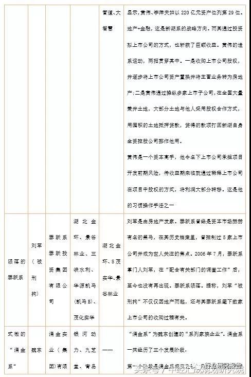 中国资本谱系专题研究