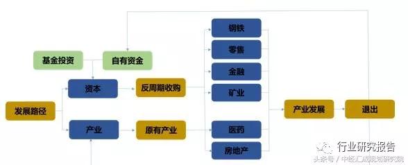 中国资本谱系专题研究