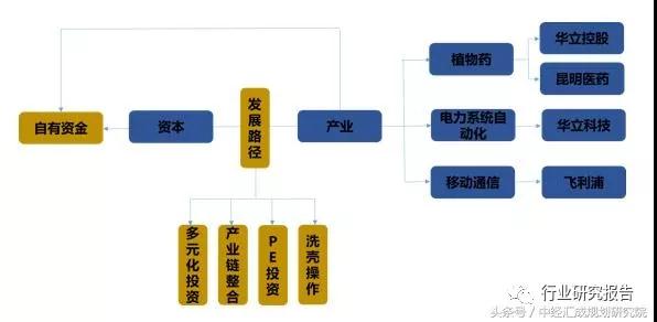 中国资本谱系专题研究