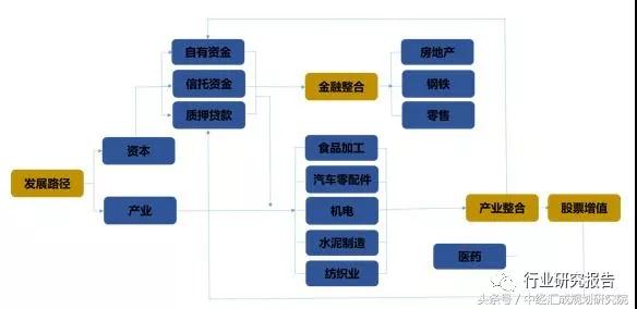 中国资本谱系专题研究