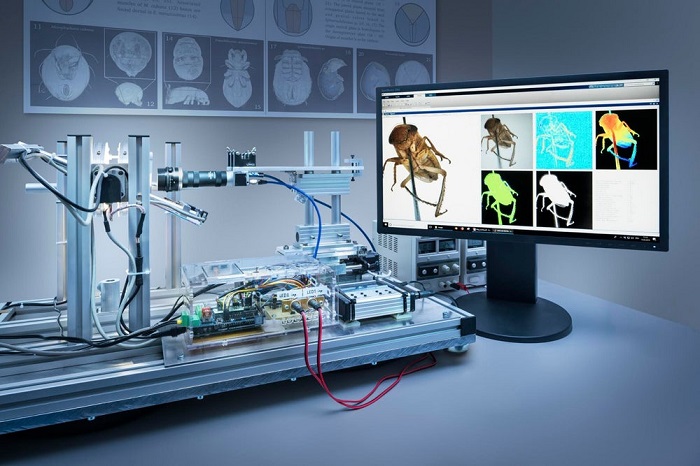 德国科学家研制全新昆虫扫描平台 可无死角查看并3D打印