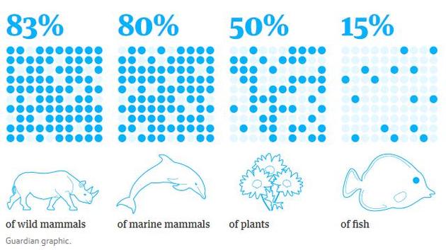 只占地球总生物量0.01%的人类消灭了83%的哺乳动物