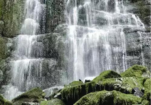 农夫山泉，求你别卖水了！