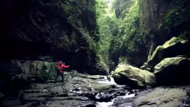 农夫山泉，求你别卖水了！