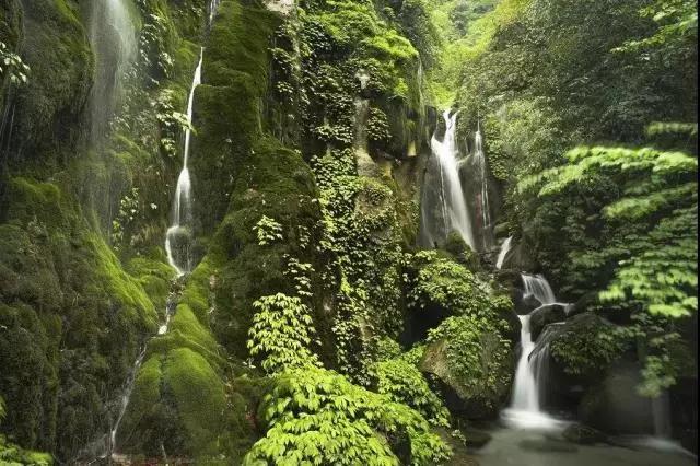 农夫山泉，求你别卖水了！