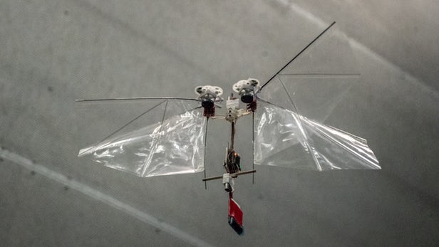荷兰大学研制动作机敏的DelFly Nimble扑翼机器人