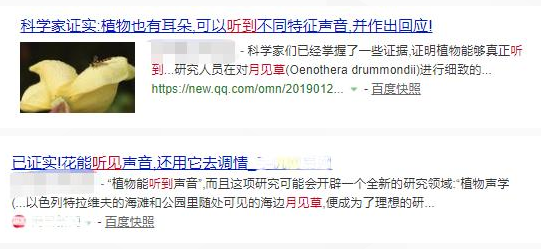 植物没有耳朵 却能"听见"声音？真相在此