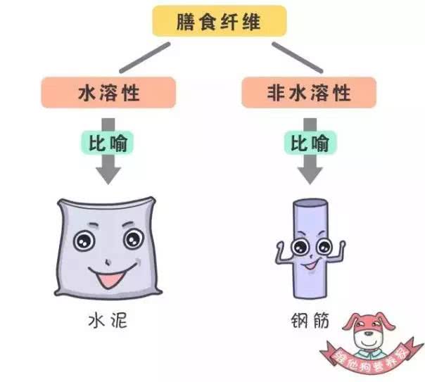 越粗糙的食物膳食纤维越多？关于膳食纤维的3个真相