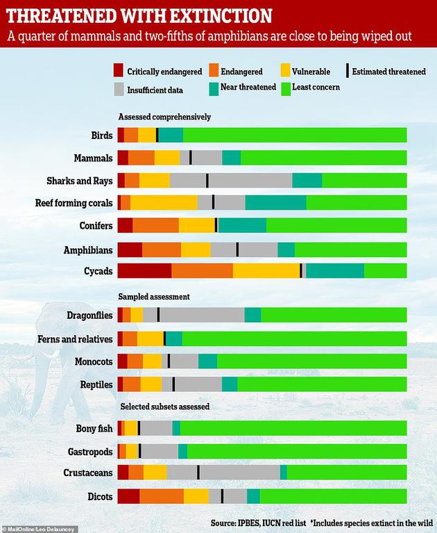 联合国报告解读：地球正处在第六次大灭绝危机中