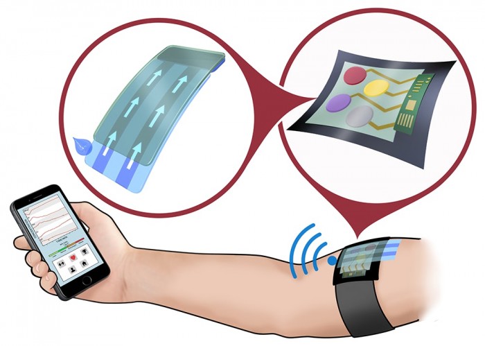 多用途电化学传感器将用于未来健身和医用可穿戴设备