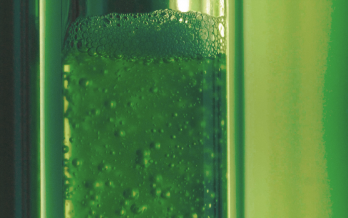 藻类燃料生物反应器吸收二氧化碳的效率比树木高400倍