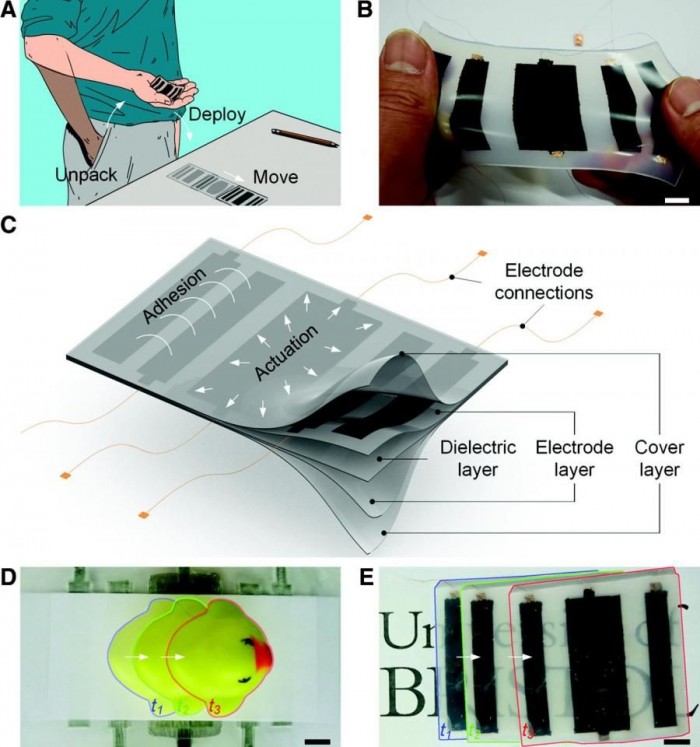 科学家开发柔性机器人ElectroSkin：可模仿蜗牛爬墙壁