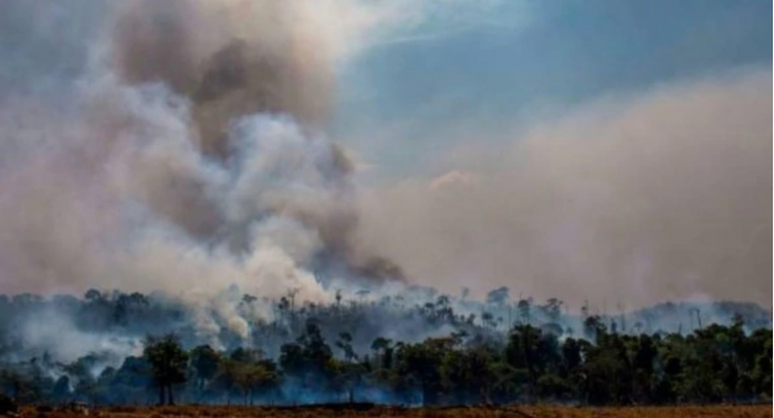 科学研究发现亚马逊热带雨林大火加剧了2000公里外的冰川融化