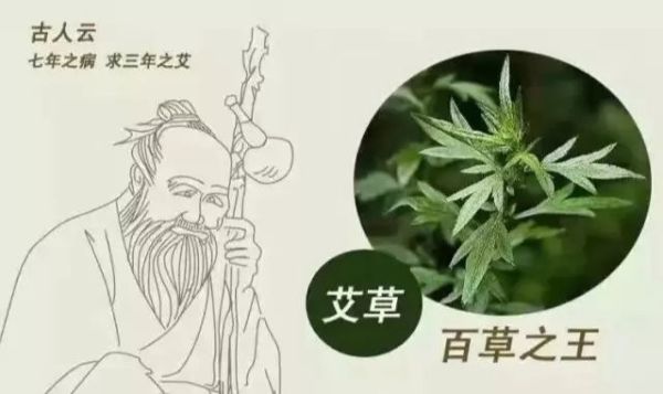 “久病必瘀”怎么办？用艾灸啊，科学证据都出来了！