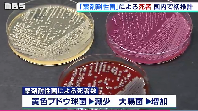 慎用抗生素：日本2017年有8000人因耐药菌死亡