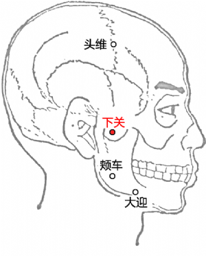 艾灸不能乱灸 艾灸禁灸穴，可千万不要出错！