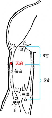 艾灸不能乱灸 艾灸禁灸穴，可千万不要出错！