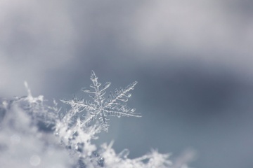 世界上真的不存在两片完全相同的雪花吗？