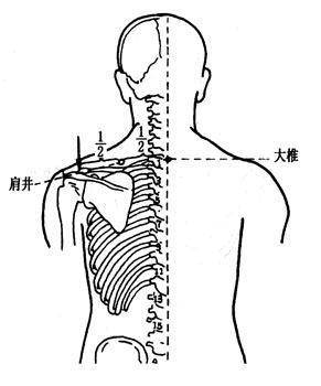 穴位就是中药，经络就是药房！太有用了！收藏吧！ 