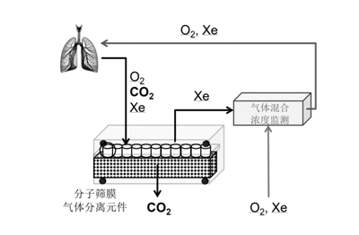 新技术能“筛”氙气，稀缺手术麻醉剂可一用再用