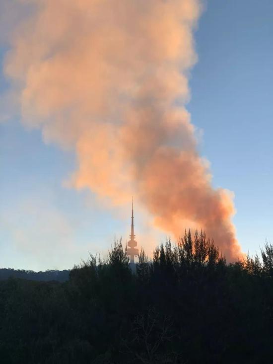 澳洲山火已烧死10亿动物 而气候变化灾难才刚刚开始