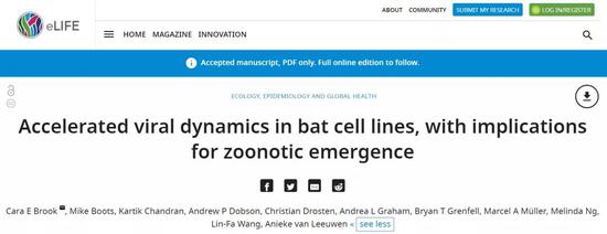 为何蝙蝠携带的病毒对人类具有如此高的致命性？