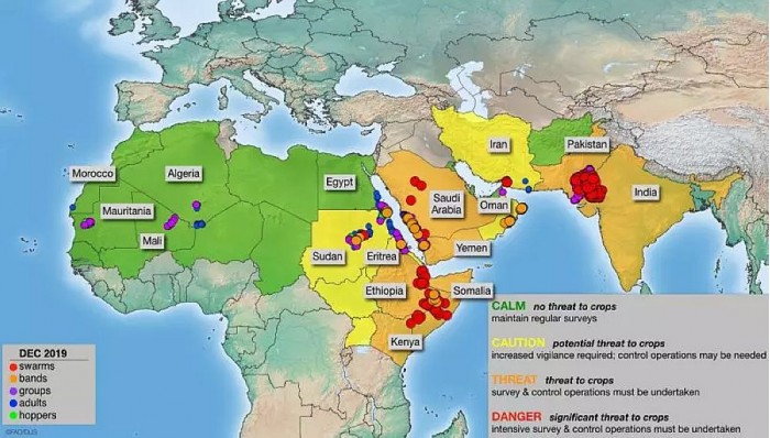 沙漠蝗会在我国大规模暴发吗？农业农村部回应