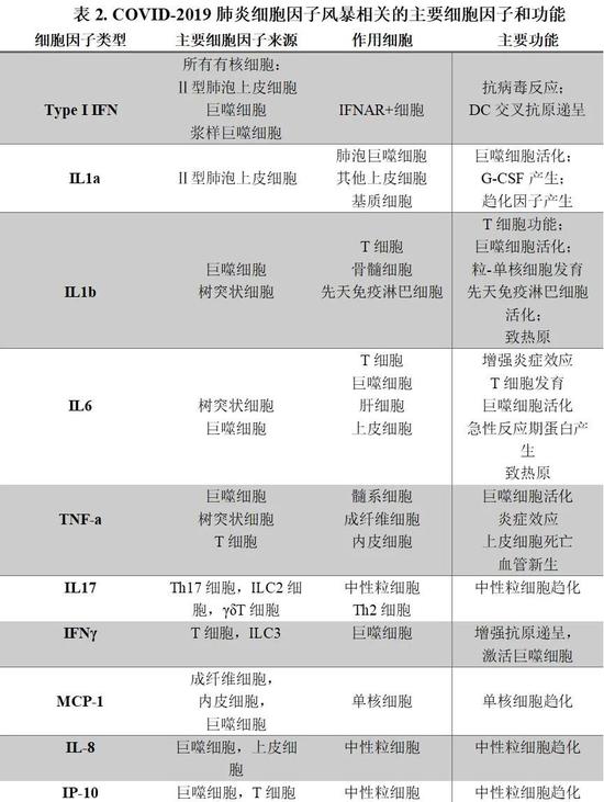 过犹不及的免疫反应：细胞因子风暴如何加速病情