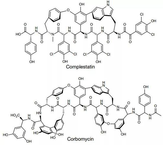 憋死超级细菌 科学家发现与青霉素作用相反抗生素