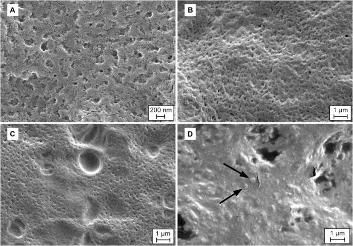 科学家研发新方法 将口服疫苗储存在便宜且易于运输的溶解膜中