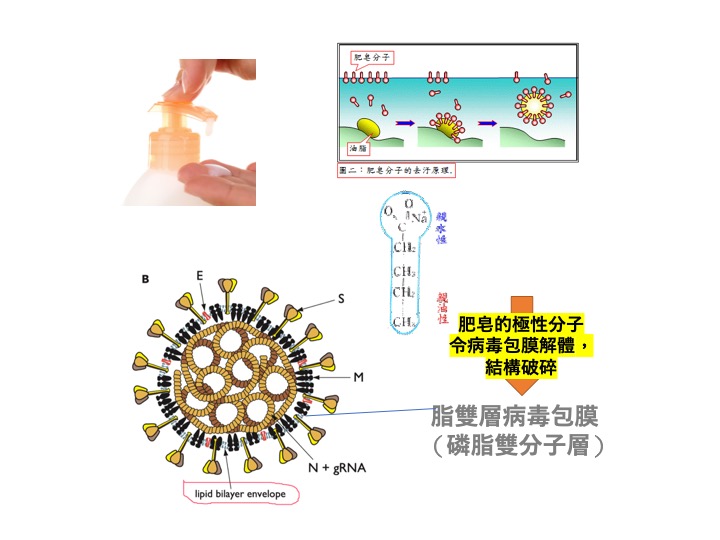 肥皂比酒精能更有效杀死冠状病毒