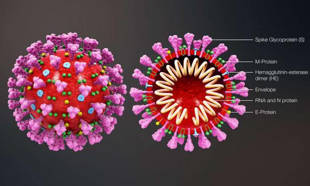 天气转暖会阻止新冠病毒传播扩散吗？