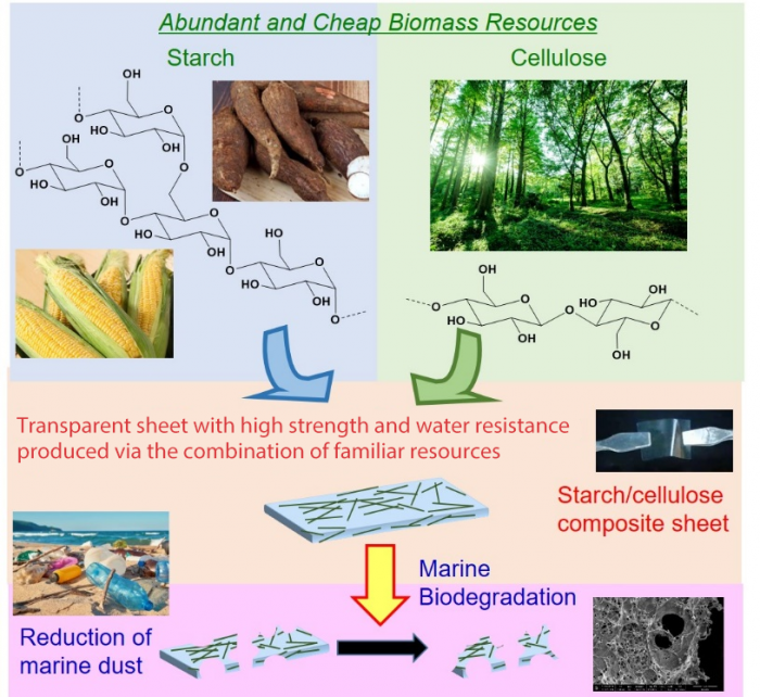 科学家开发基于植物的新型塑料 在海洋中具有很高的生物降解性