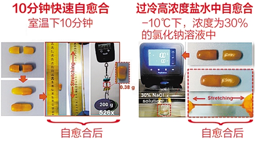 超级电子皮肤成功研发 可全天候自愈