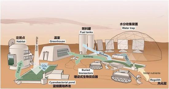 曾经让地球焕发生机的它们，未来能在火星拓荒吗？