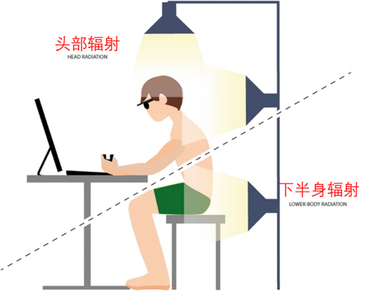 太阳底下不戴帽子，小心你的脑功能退化