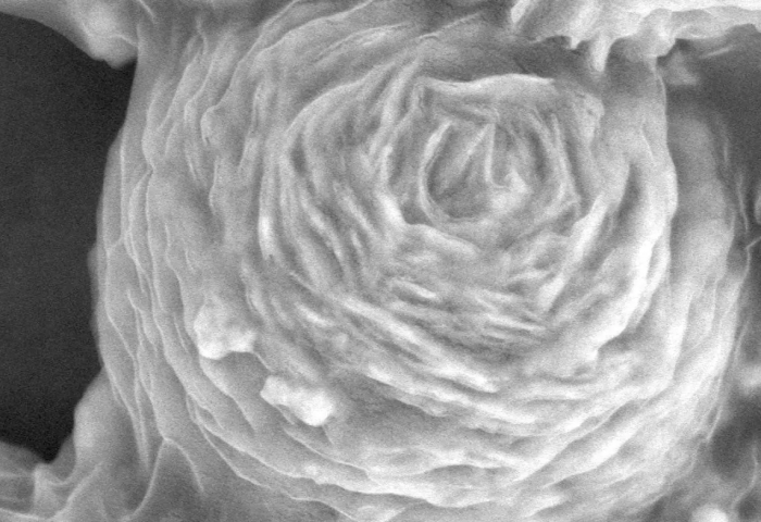 研究发现用石墨烯包裹纳米颗粒可杀死废水中的耐药菌