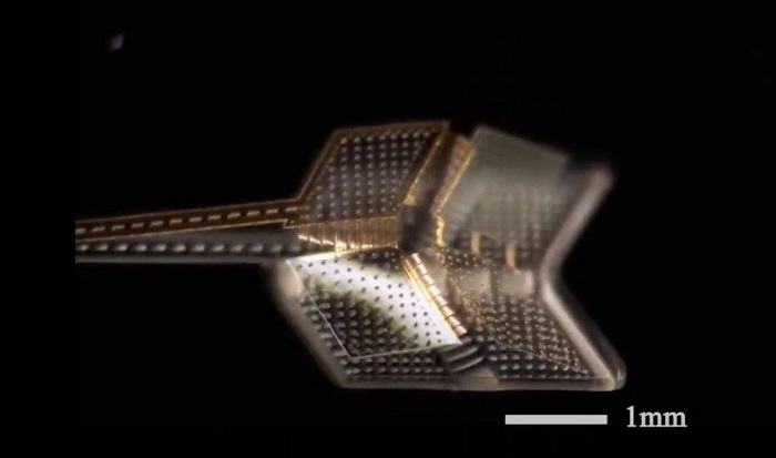 科学家研制可通过加热来应对不同任务的折叠式微型机器人