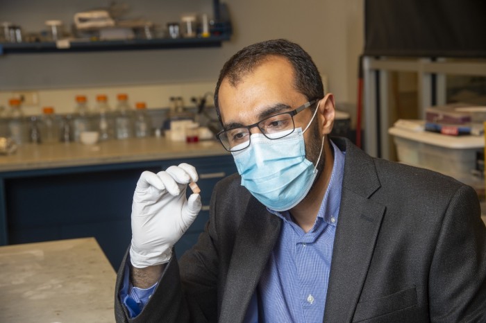 普渡大学科学家开发可收集肠道细菌的口服胶囊
