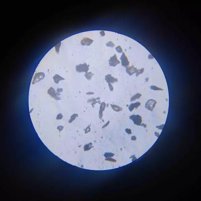 月球“尘埃终结者” ：科学家利用电子束清除宇航员装备微粒