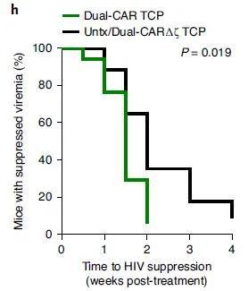HIV病毒抑制速度翻倍：艾滋病CAR-T疗法要来了？