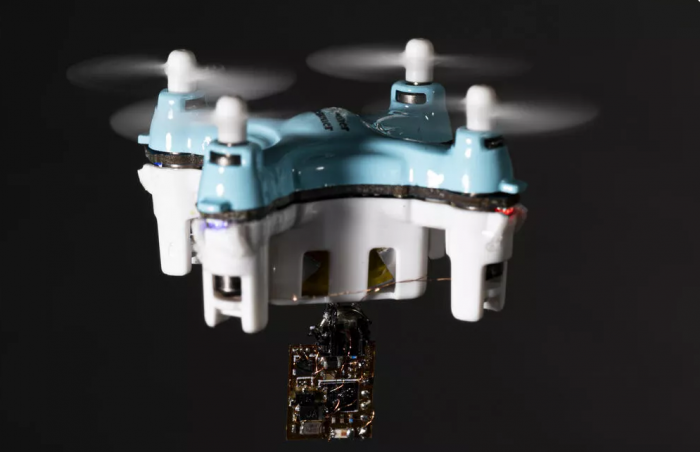 飞蛾作为无人机：研究人员利用昆虫来空投环境传感器