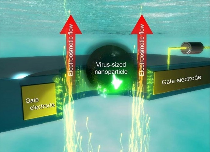 可控纳米孔可能会带来单分子传感器和更便宜的基因组测序