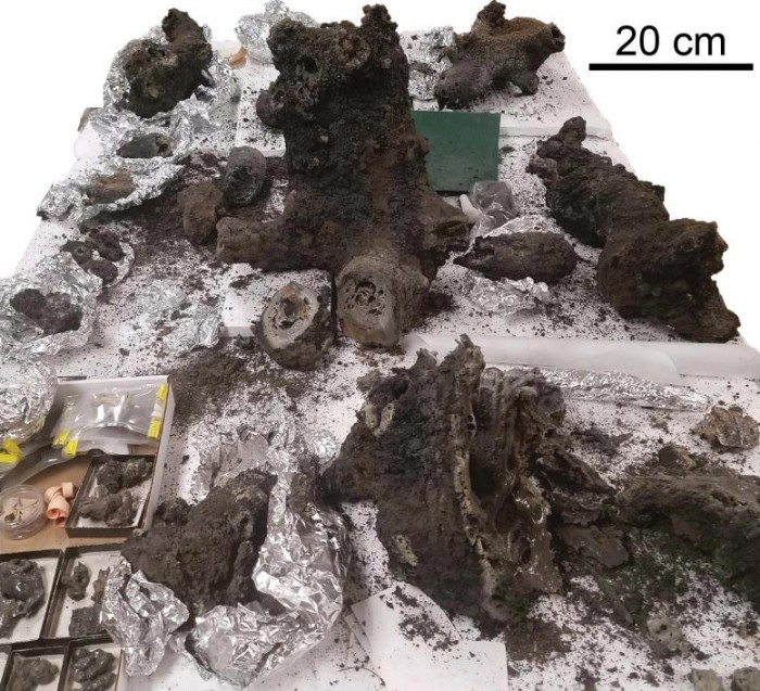 科学家认为闪电在地球生命起源中发挥了至关重要的作用 与陨石相当