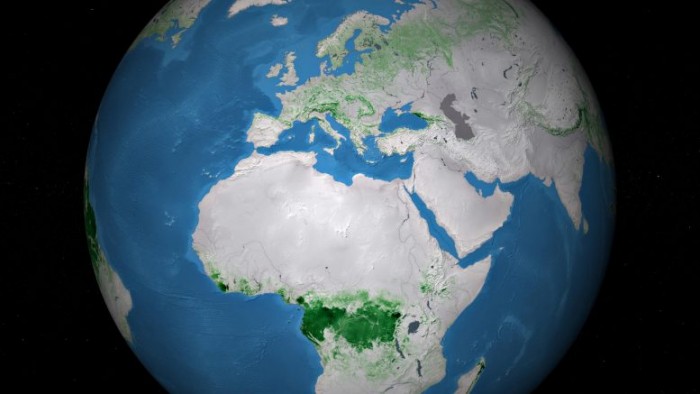 新的地面生物量地图将帮助我们了解全球碳循环情况