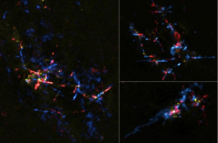 科学家在银河系中心黑洞附近发现“正在孵化的恒星蛋”